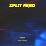 Split Mind (2000)